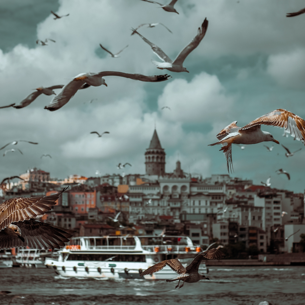 mert-sermet